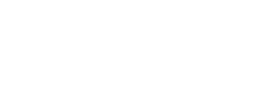 Handysends Logo